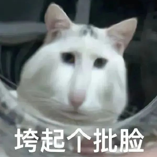微信沙雕表情包动态搞笑 各种超级沙雕表情包下载