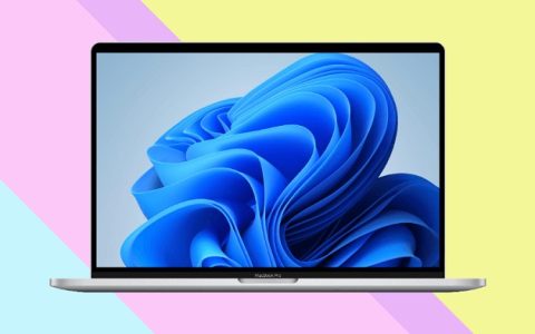 windows 11网页版来了 无需安装升级 人人都能体验win11