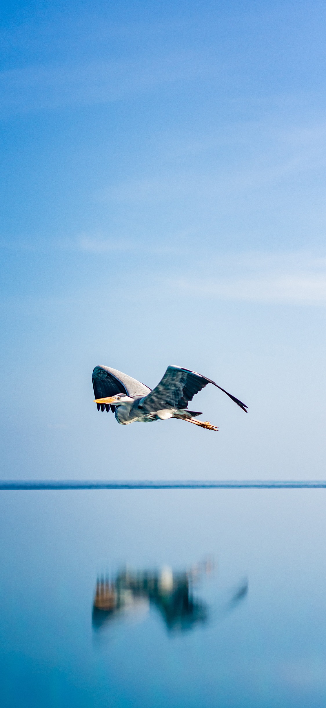 一如既往的优秀 12张非常漂亮的苹果手机壁纸下载
