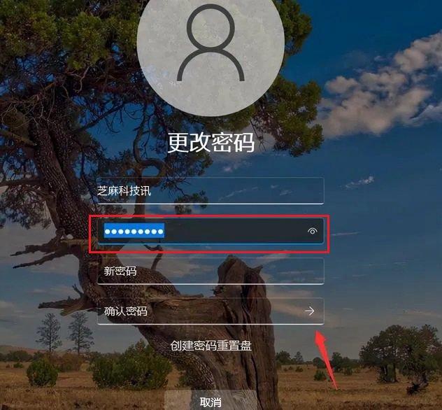 win11开机密码怎么取消？win11关闭锁屏密码图文教程